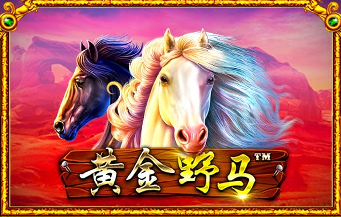 港澳宝典app官方正版下载最新版本亮点
